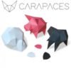 Carapaces BY DOUG